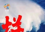 米兰APP下载-包含追求胜利的不懈努力，胜负关键由心而动的词条