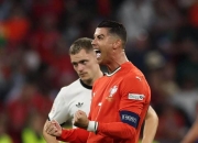 米兰体育入口-包含葡萄牙前锋制胜球入网，独领风骚成为焦点的词条